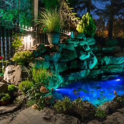 Фото Отель Лотос