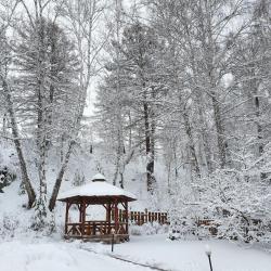 Фото Отель Каменный цветок
