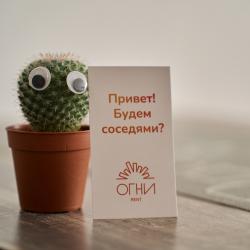 Артек by ОГНИ Rent — 2b55df4dd8470d03fd569082f980d0ad