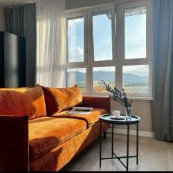 1-комнатные апартаменты люкс улица Алексея Матвейкина 1А