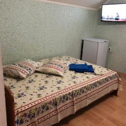 2-местный номер эконом (мансарда)