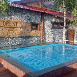 Фото Отель Шале Форестклаб