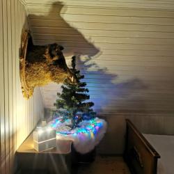 Фото Отель SunHouse (СанХаус)