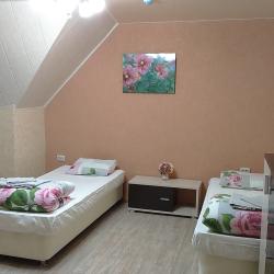 Номер делюкс с 2 односпальными кроватями