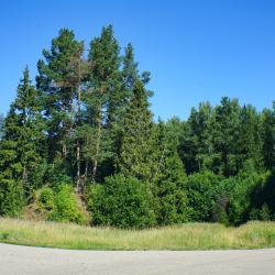 Фото Отель Прибрежный Ярбург