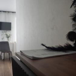 Фото Апартаменты на проспекте Красной Армии 206