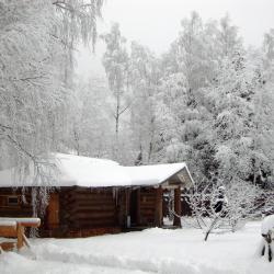 Фото Отель Гостевой дом Окулова Заимка