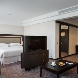 SHERATONPLAZA Ufa Congress Hotel (Шератон Плаза Уфа Конгресс) (бывш. Краун Плаза Уфа Конгресс) — 2ba08f3fcf625a95e7b4739226588a6c