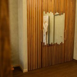 Номер полулюкс #207