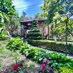 Фото Отель Каролина