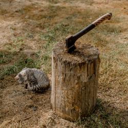 Фото Отель А-Шалаш Черноречье