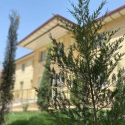 Фото Отель Tarmita Plaza (Тармита Плаза)