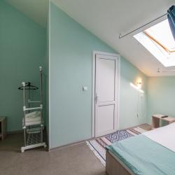 2-местный номер стандарт с 1 двуспальной кроватью (мансарда)