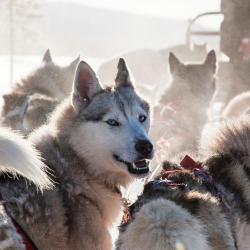 Фото Отель Русские Сезоны село 4*