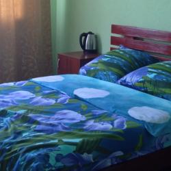 Фото Отель Новик