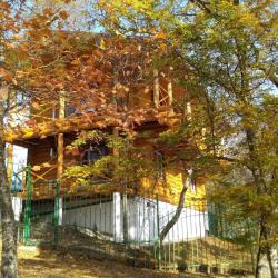 Фото Отель Дома в лесу