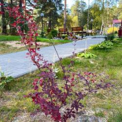 Фото Отель Алсма