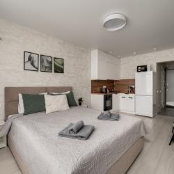 Фото Апартаменты на улице Романовская 13