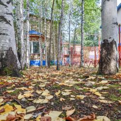 Фото Отель Клён