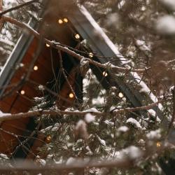 Фото Отель Хвойная хижина