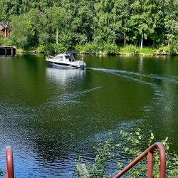 Фото Отель Гостевой комплекс Сосны