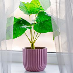 1-комнатные апартаменты улучшенные №2