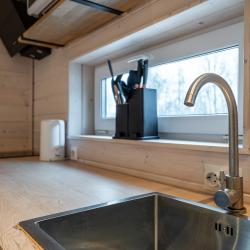 Дом с видом на лес гостиная со спальней (40 кв.м)