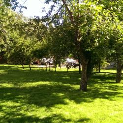 Фото Отель Беркана