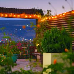 Фото Отель Лорд