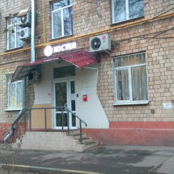 фото 5 Вежливый лось на Войковской