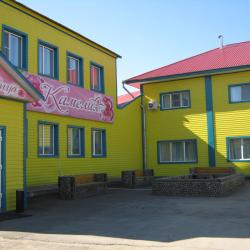 Фото Отель Камелия