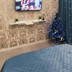 Фото Апартаменты на улице Ивана Сусанина, 41