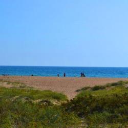 Фото Отель Благовещенка