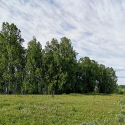 Фото Отель Кинтереп