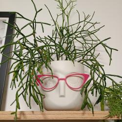 Фото Отель Уютная дизайнерская студия