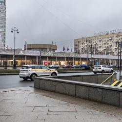 Апартаменты улучшенные Московский проспект, 224