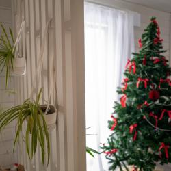 2-комнатный коттедж улучшенный