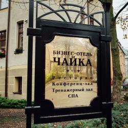 фото 4 Чайка