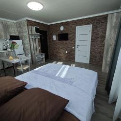 1-комнатные апартаменты студия Красной Армии 136/13