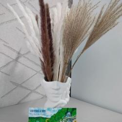 Фото Апартаменты на улице Санаторная, 13