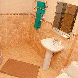 Номер люкс с 1 двуспальной кроватью  #207