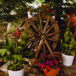 Фото Отель Метелица