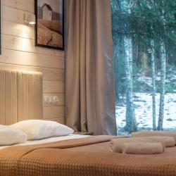 Дом с видом на лес гостиная со спальней (40 кв.м)