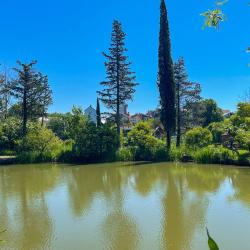 Фото Парк-отель Озеро Дивное