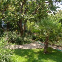 Фото Отель Солнечная Ривьера