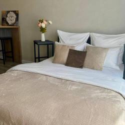 1-комнатные апартаменты студия