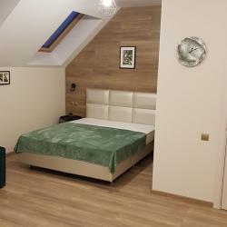 1-комнатные апартаменты стандарт (мансарда)