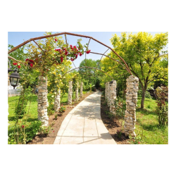 Фото Отель Alaku Hotel (Алаку)