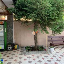 Фото Отель Людмила