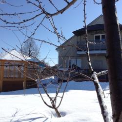 Фото Отель Гостевой дом Волна